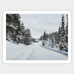 White Winter in Scandinavia - Remote Road Through Fir Tree Forest Sticker